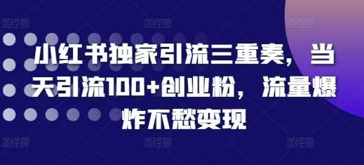 小红书独家引流三重奏,当天引流100+创业粉,流量爆炸不愁变现【揭秘】