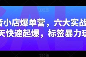 抖音小店爆单营，六大实战篇，7天快速起爆，标签暴力玩法