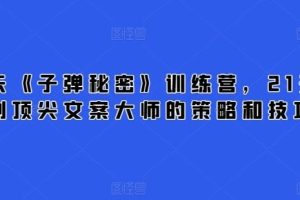 21天《子弹秘密》训练营，21天学到顶尖文案大师的策略和技巧