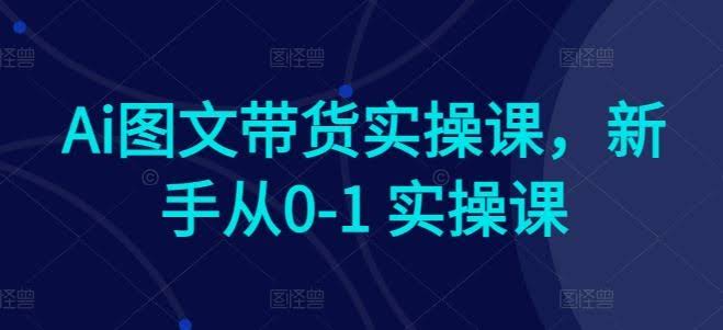 Ai图文带货实操课,新手从0-1 实操课