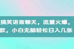 AI生成搞笑语音聊天，流量火爆，条条爆款，小白无脑轻松日入几张【揭秘】