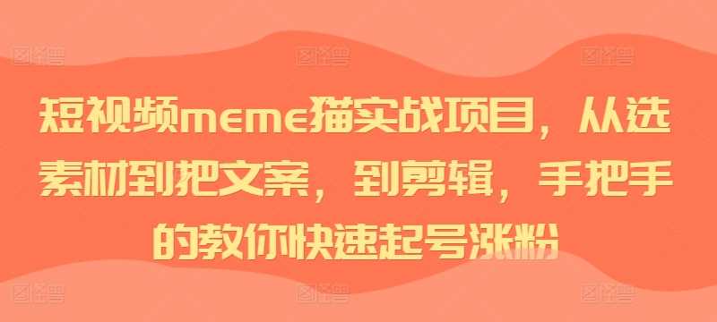 短视频meme猫实战项目,从选素材到把文案,到剪辑,手把手的教你快速起号涨粉