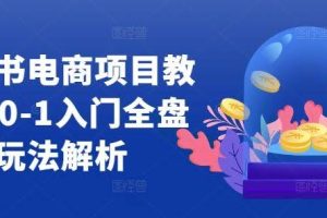 小红书电商项目教程，0-1入门全盘玩法解析