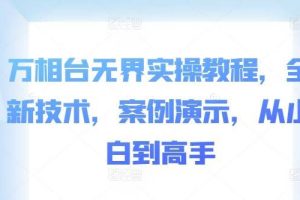 万相台无界实操教程，全新技术，案例演示，从小白到高手
