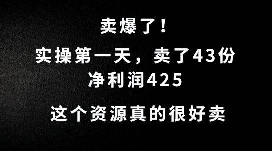 这个资源,需求很大,实操第一天卖了43份,净利润425【揭秘】
