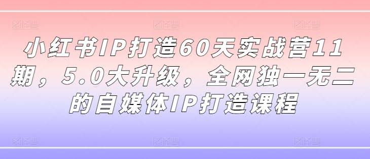 小红书IP打造60天实战营11期,5.0大升级,全网独一无二的自媒体IP打造课程