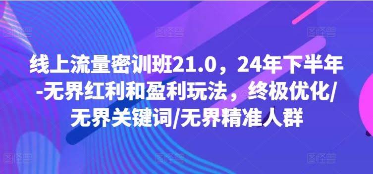 线上流量密训班21.0,24年下半年-无界红利和盈利玩法,终极优化/无界关键词/无界精准人群