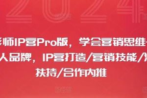 摄影师IP营Pro版，学会营销思维+打造个人品牌，IP营打造/营销技能/流量扶持/合作内推