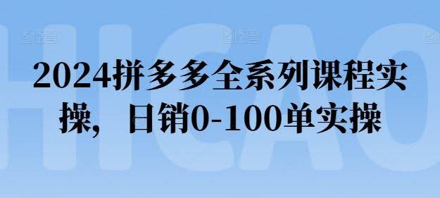 2024拼多多全系列课程实操,日销0-100单实操【必看】