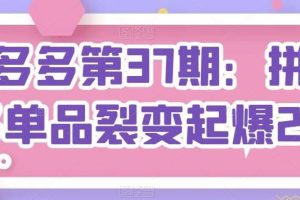拼多多第37期：拼多多单品裂变起爆2.0