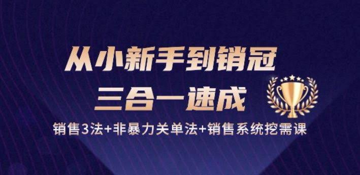 从小新手到销冠 三合一速成:销售3法+非暴力关单法+销售系统挖需课 (27节)