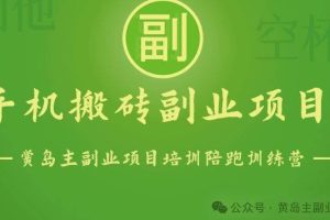 手机搬砖小副业项目训练营1.0，实测1小时收益50+，一部手机轻松日入100+