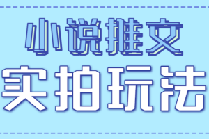 小说推文实拍玩法,零成本零门槛10元/单,轻松月收益万元