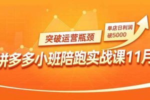 (16654期)拼多多小班陪跑实战课11月,强付费矩阵、原价活动、暗券引流,突破运营瓶颈,单店日利润破5000